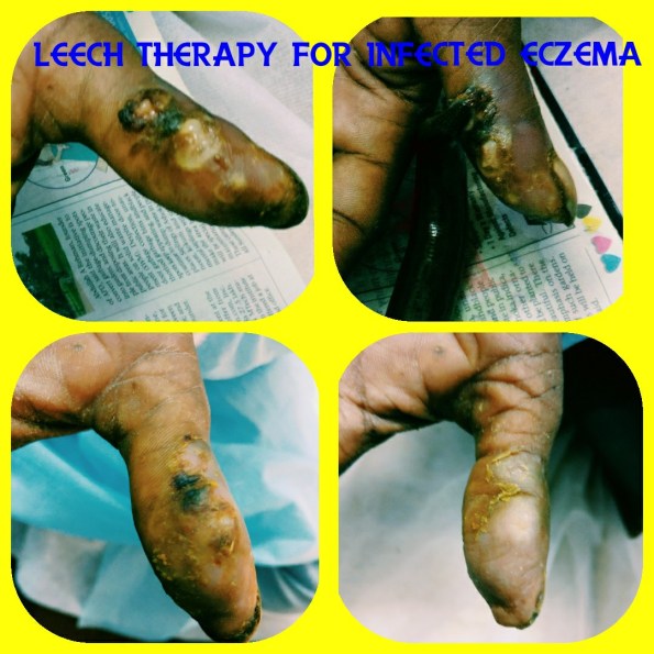 21543870_1705780096123326_263964612730520262_o