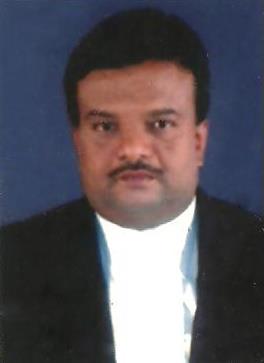 393925_258481107554266_967167269_n